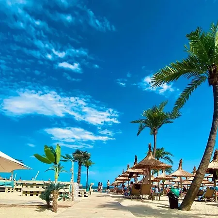 2 Mamaia Nord & Seaview *